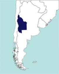 No hay imagen establecida 