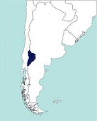 No hay imagen establecida 