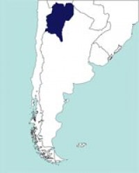 No hay imagen establecida 